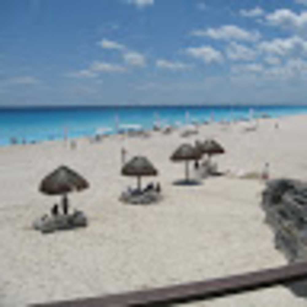 Meet your Posher, Carolyn